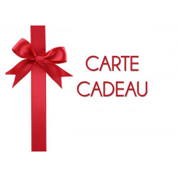 CARTE CADEAU 22€